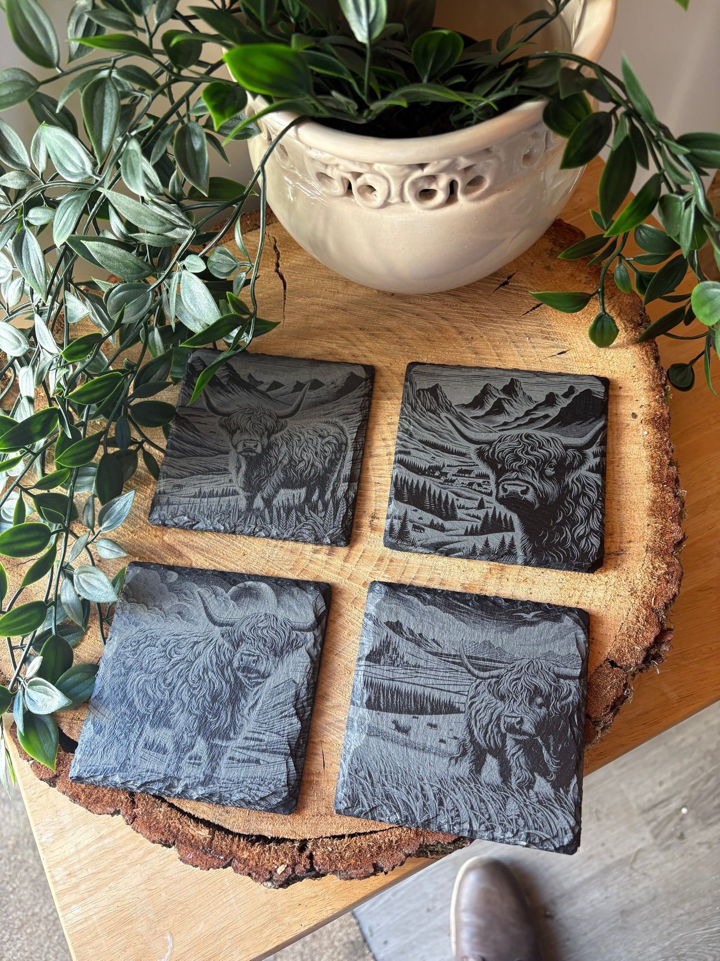 Set of 4 highland cow coasters