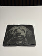 Engraved Dog Slate Coaster