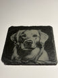 Engraved Dog Slate Coaster